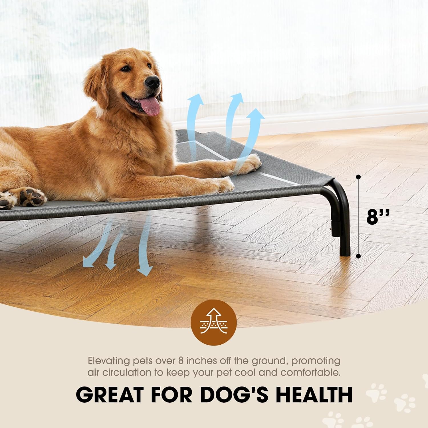 Raised Dog Bed with Breathable Mesh