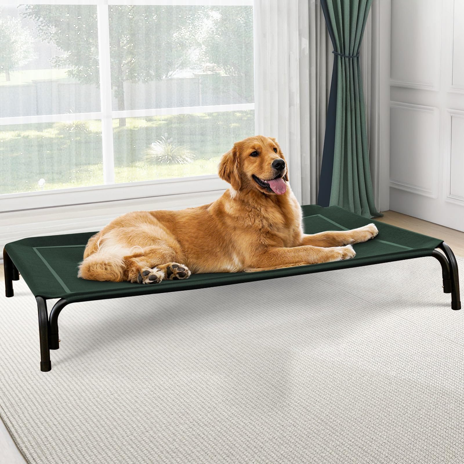 Raised Dog Bed with Breathable Mesh