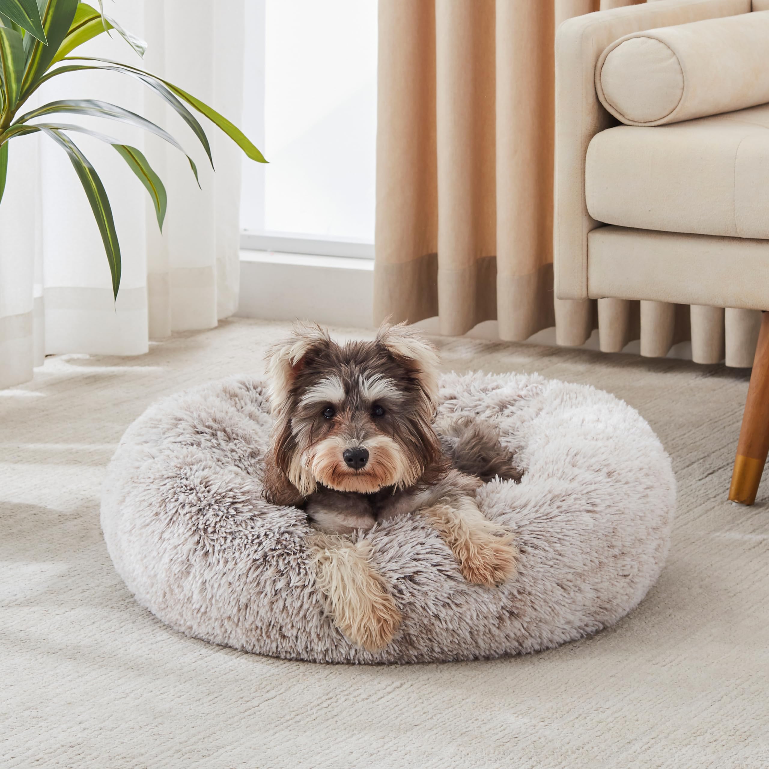 Cloud Calming Donut Dog & Cat Bed