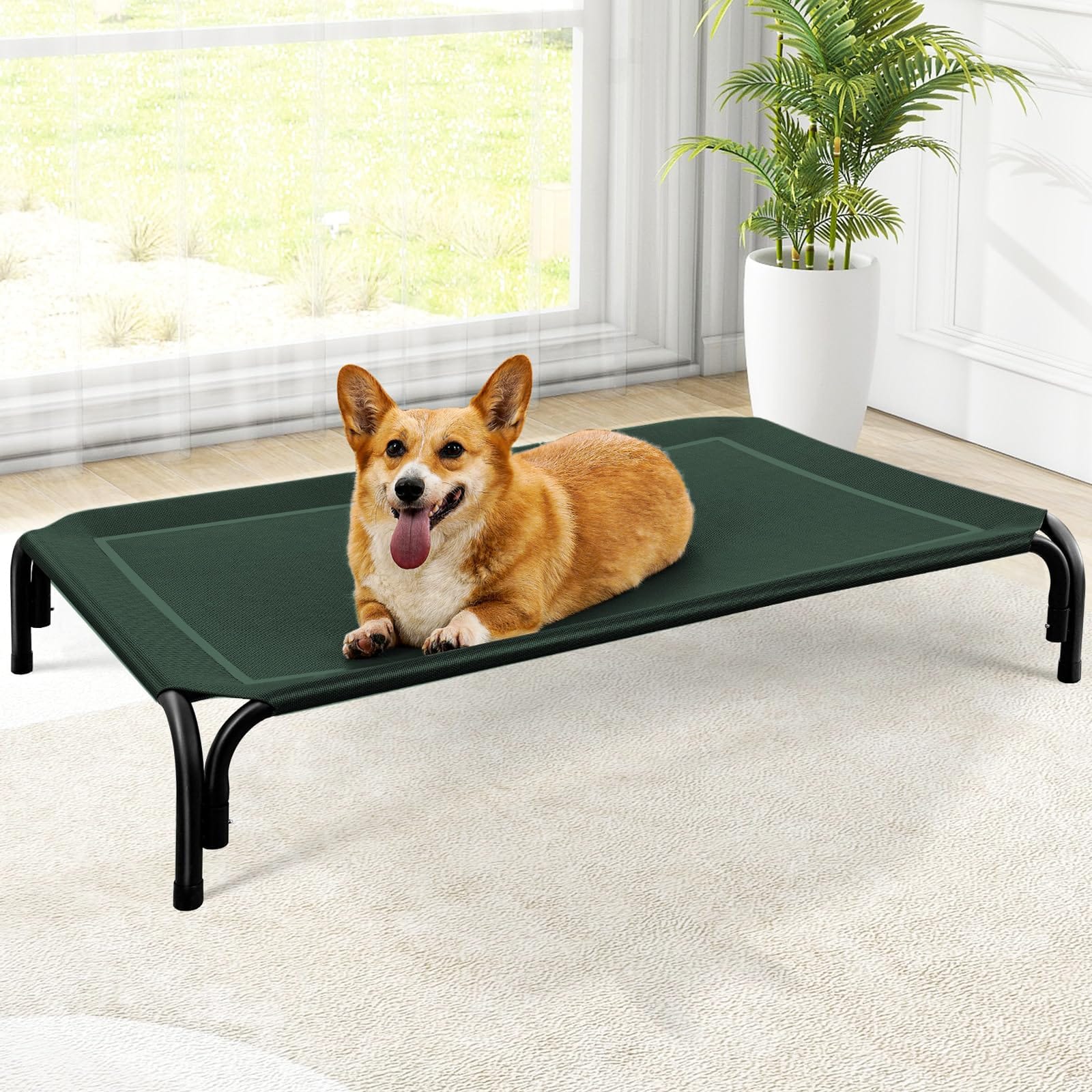 Raised Dog Bed with Breathable Mesh