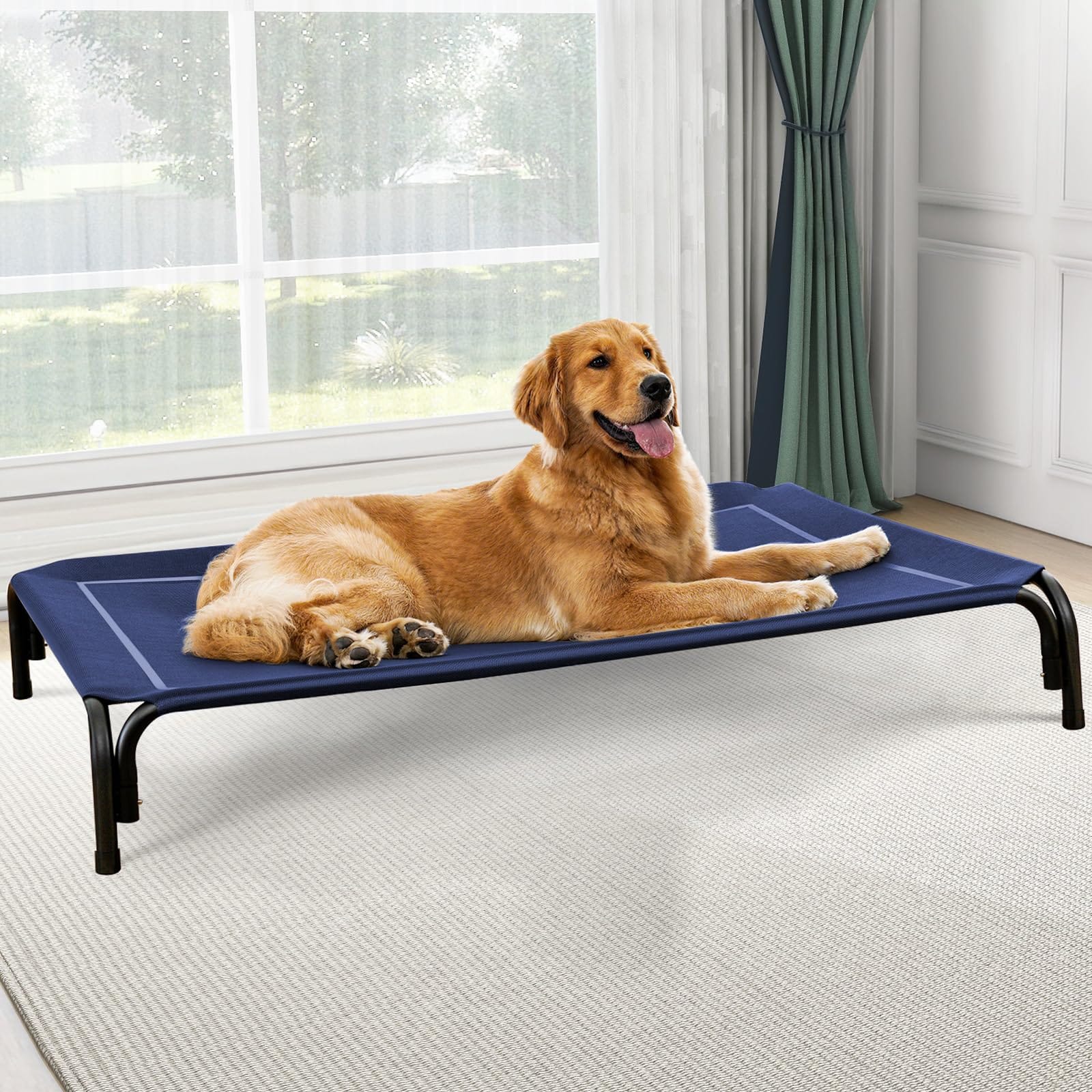 Raised Dog Bed with Breathable Mesh
