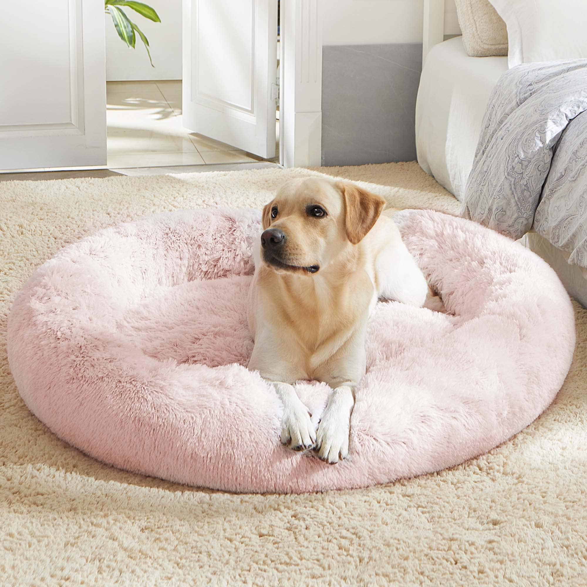 Cloud Calming Donut Dog & Cat Bed
