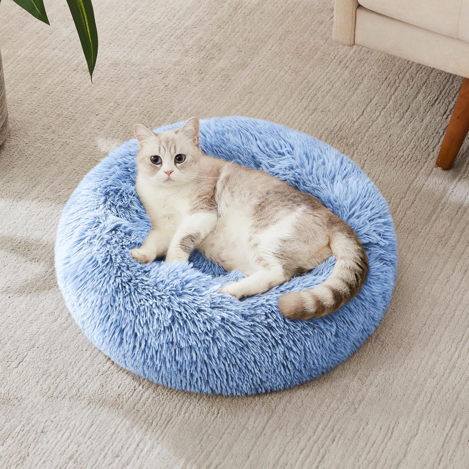 Cloud Calming Donut Dog & Cat Bed
