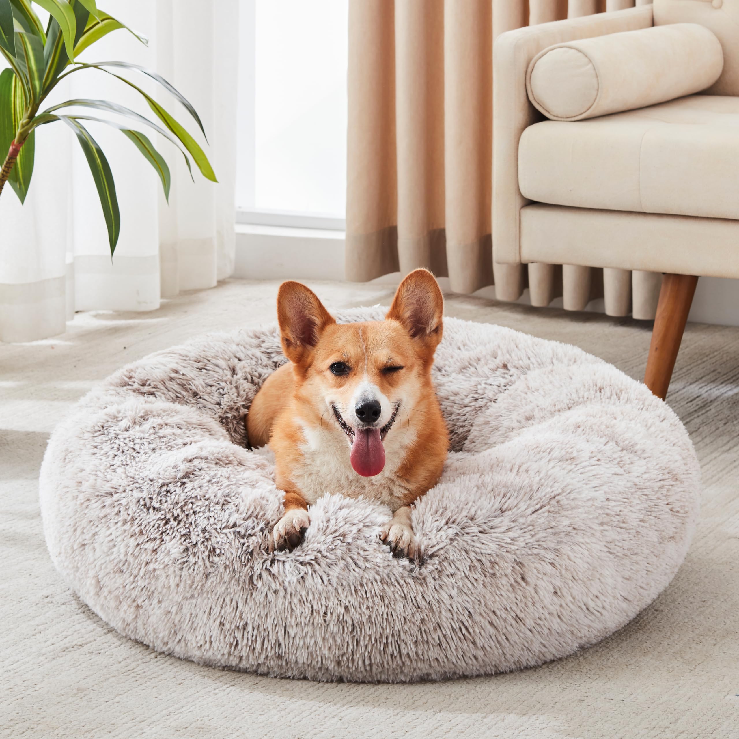 Cloud Calming Donut Dog & Cat Bed