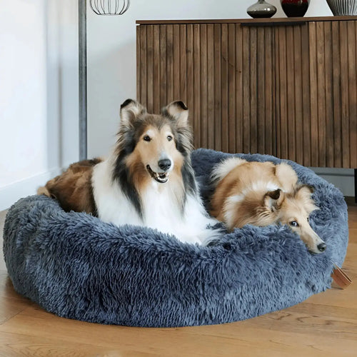 Calming Orthopedic Bed - Anxiety Relieving Dog Bed