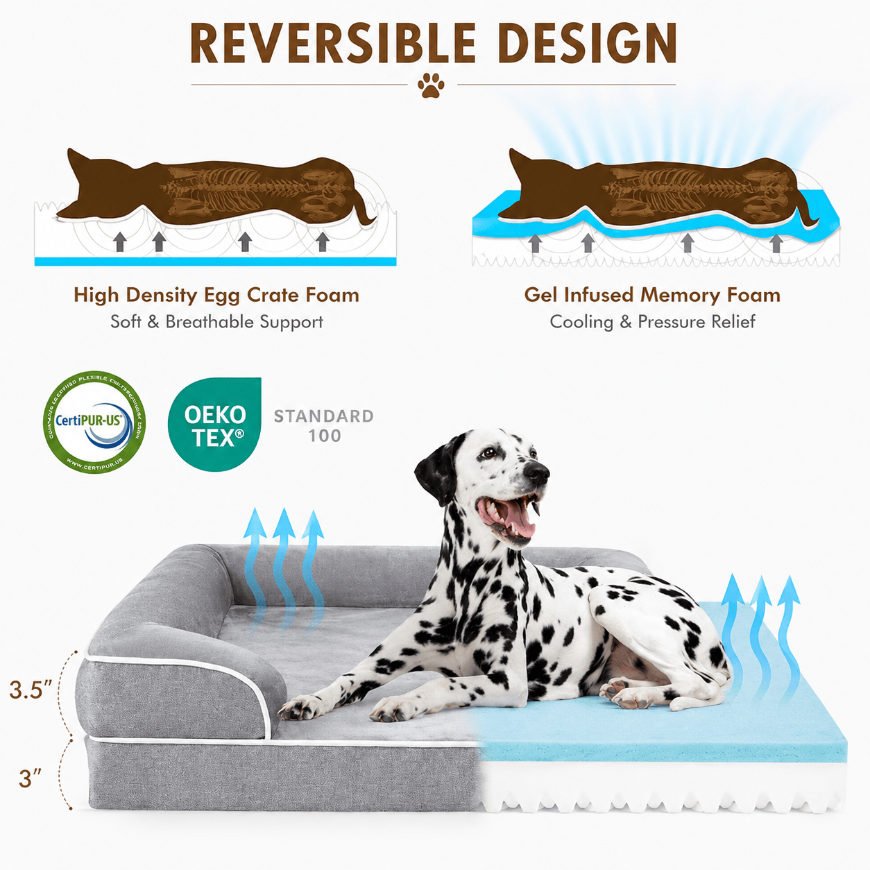 Orthopedic Memory Foam Dog Bed | Waterproof & Washable