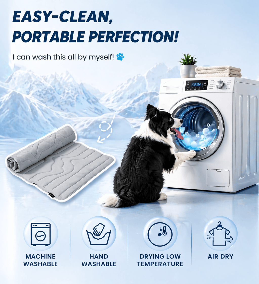 Dual-Side Cooling Dog Mat