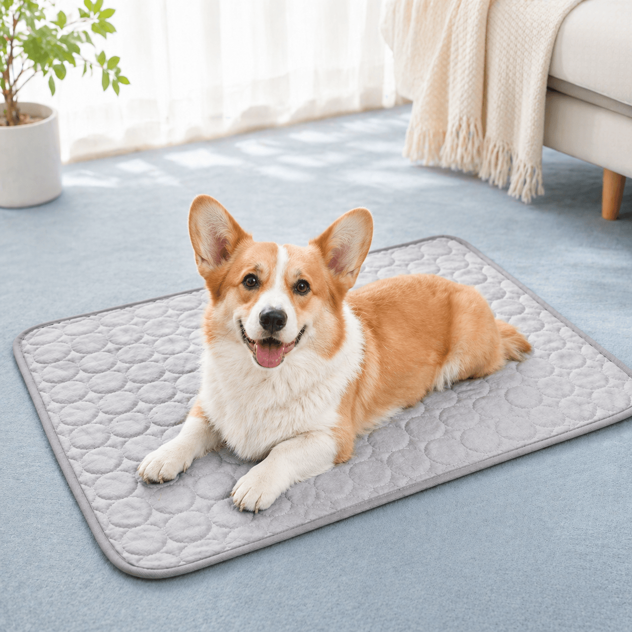 Cooling Mat for Dogs & Cats