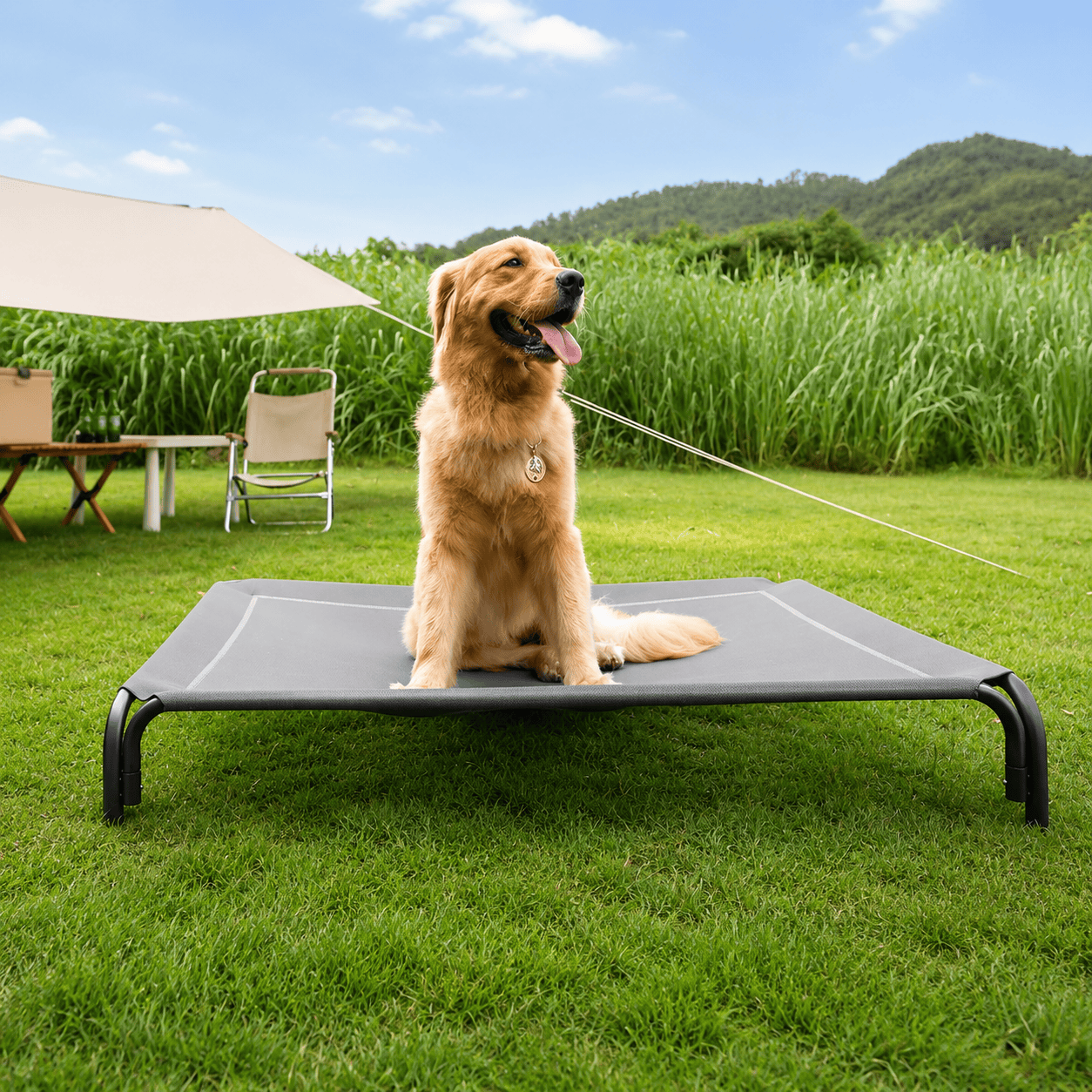 Raised Dog Bed with Breathable Mesh