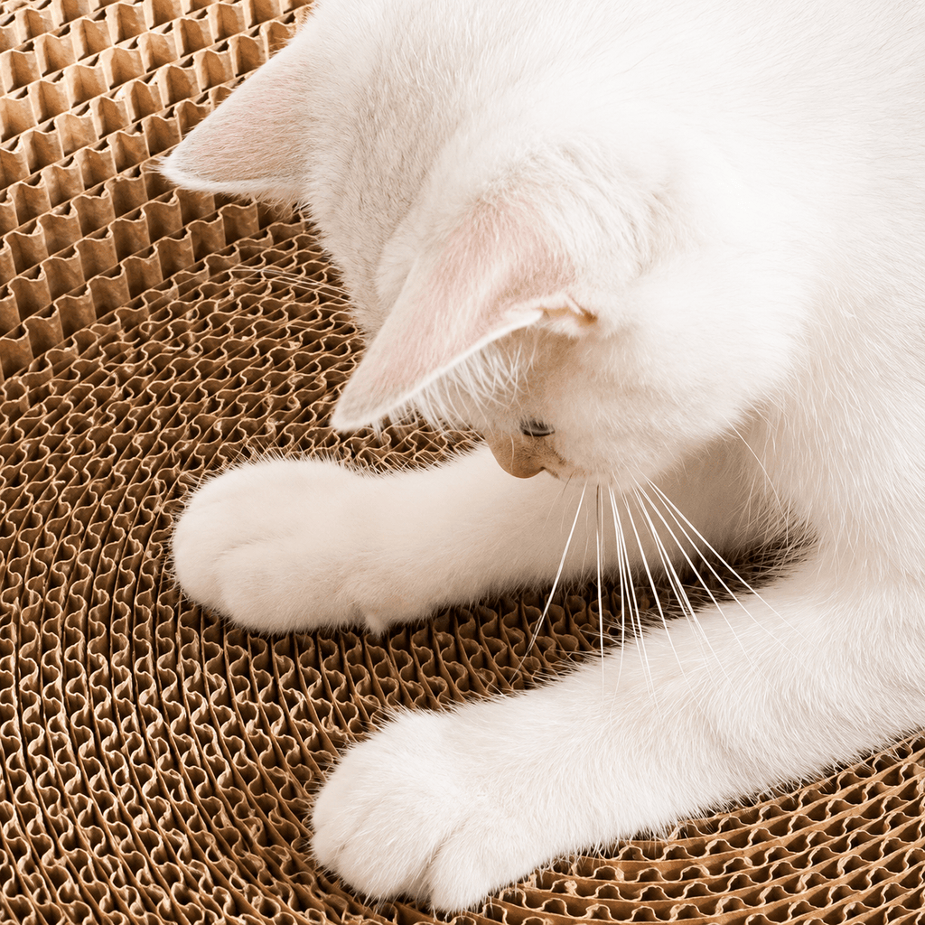 Cardboard Paradise Cat Bed for Stress-Relief, Claw Health & Furniture Safety