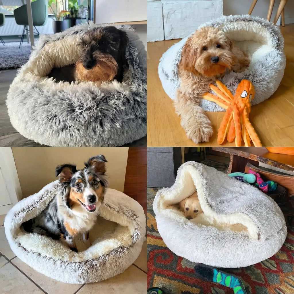 Calming Cowry Pet Bed – Cozy Anti-Anxiety Dog & Cat Bed