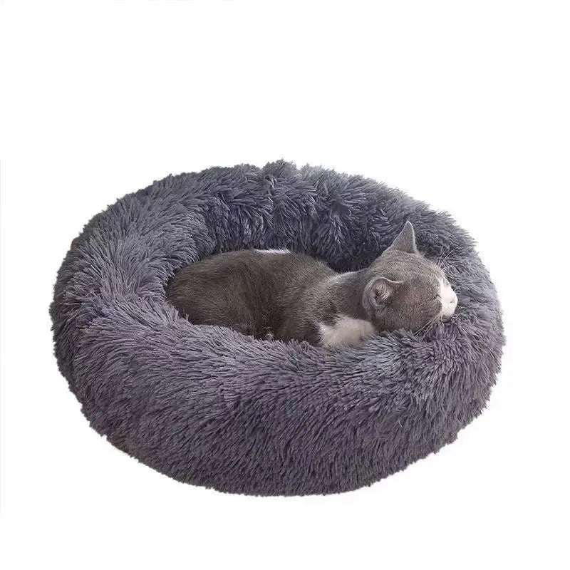 Calming Orthopedic Bed - Anxiety Relieving Dog Bed