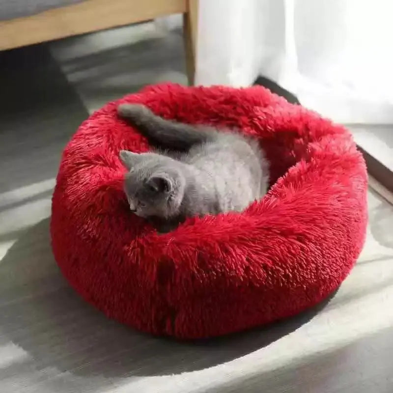 Calming Orthopedic Bed - Anxiety Relieving Dog Bed