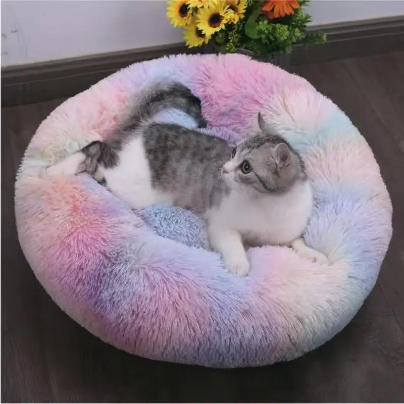 Calming Orthopedic Bed - Anxiety Relieving Dog Bed