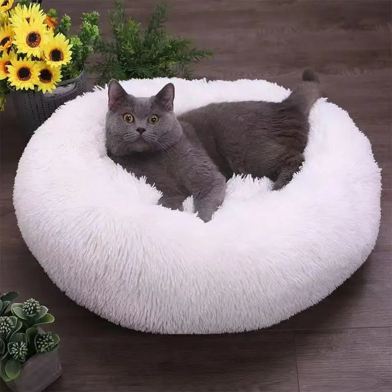 Calming Orthopedic Bed - Anxiety Relieving Dog Bed