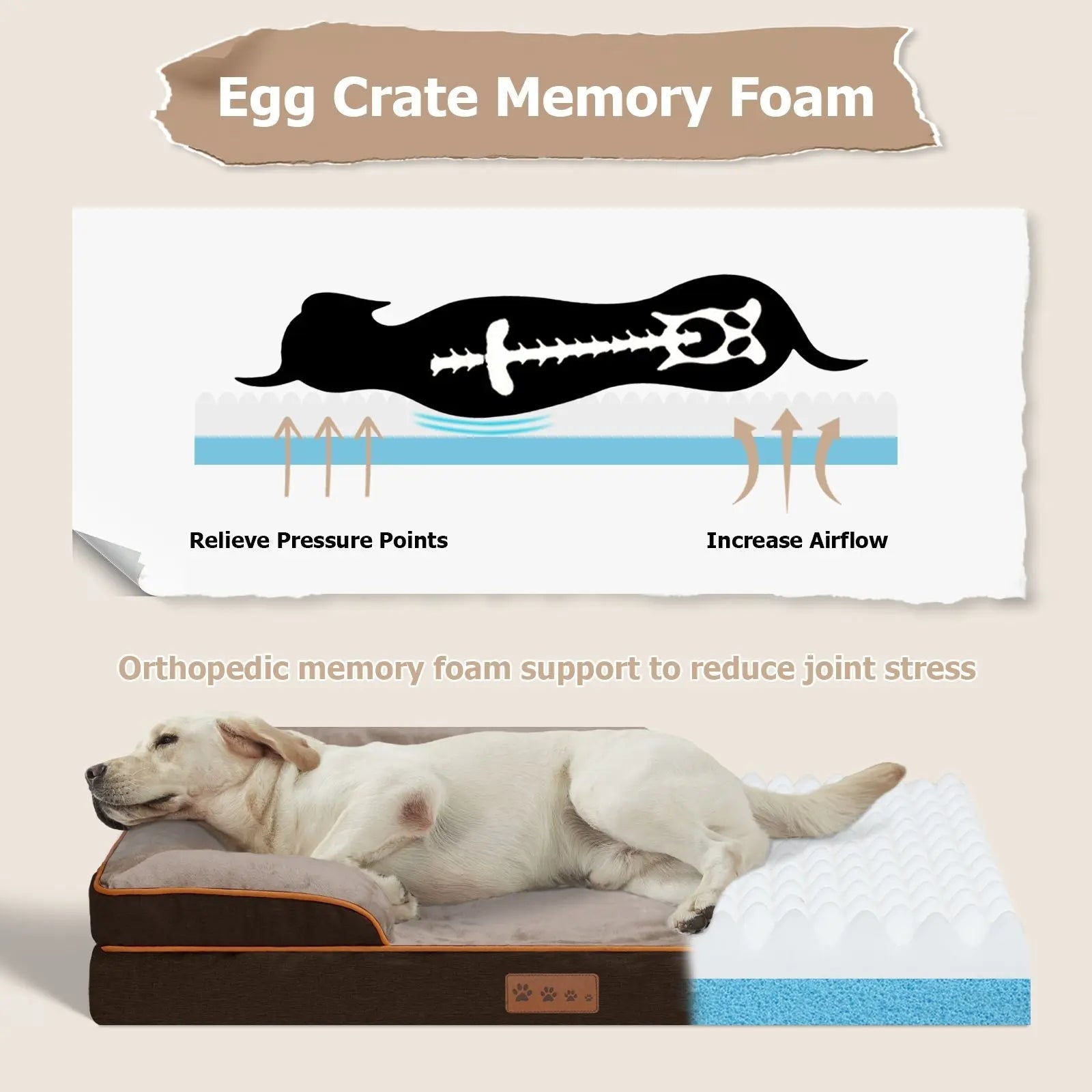 Orthopedic Pet Bed – Supportive Washable Bed with Non-Slip Base