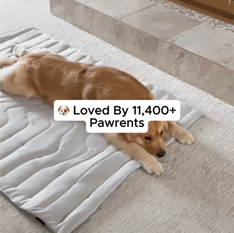Dual-Side Cooling Dog Mat
