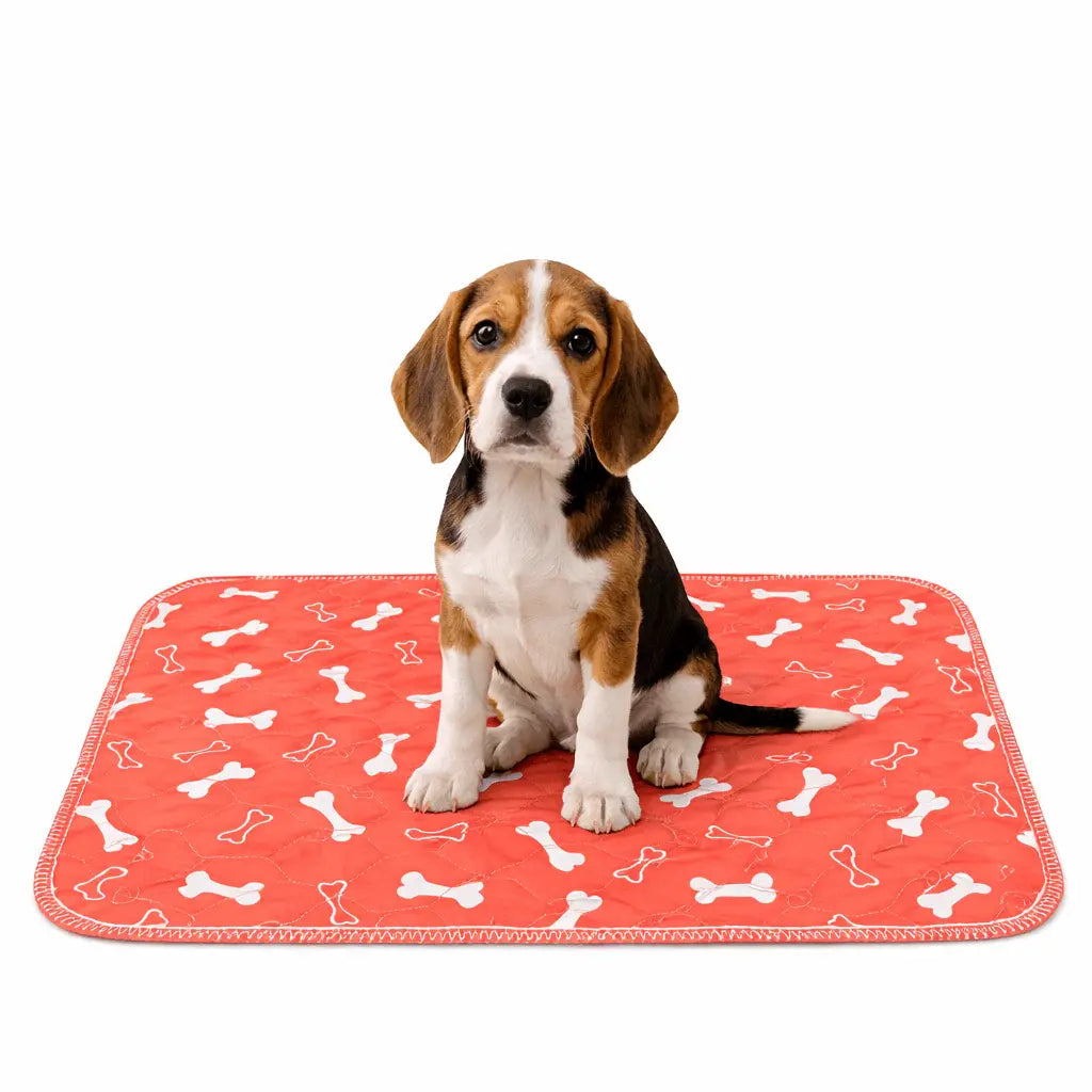 Washable Leak Guard Pee Pad