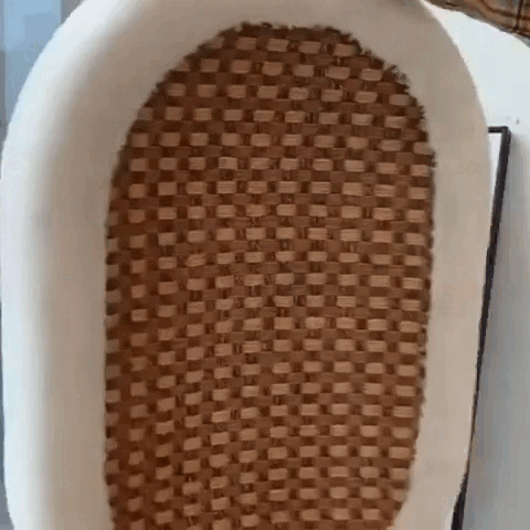 Scratch Lounge – Soft Plush Lounge Bed for Indoor Cats