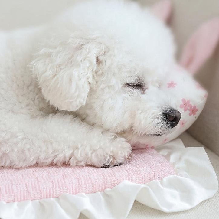 Cooling Rabbit Ear Pet Mat